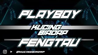 Download lagu Playboy Fengtau Limited Edition Nonstop Kucingbiad... mp3