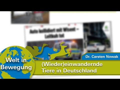 , title : '"(Wieder)einwandernde Wildtiere in Deutschland" - Dr. Carsten Nowak'