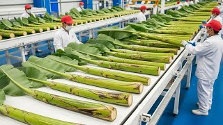 Mind-Blowing Tour Inside the High-Tech Factory Processing Banana Stems