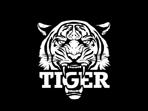 PUTEREA S-A ÎNTORS (REMIX) 🐯 COJO X MGL X MIRU X EL NINO