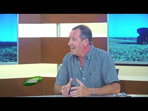 Agenda Ganadera - Tec. Álvaro García - 16-2-26