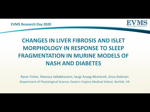Thumbnail image of video presentation for Changes in liver fibrosis and islet morphology in response to sleep fragmentation in murine models of NASH and diabetes