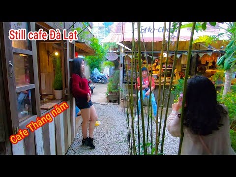 Still Cafe Đà Lạt - Quán cà phê triệu người mê mỗi khi du lịch Đà Lạt