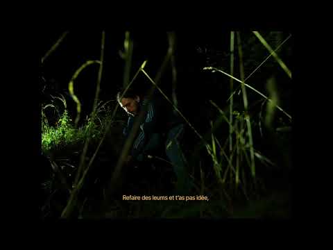 AMS - LA NUIT (Clip Officiel)