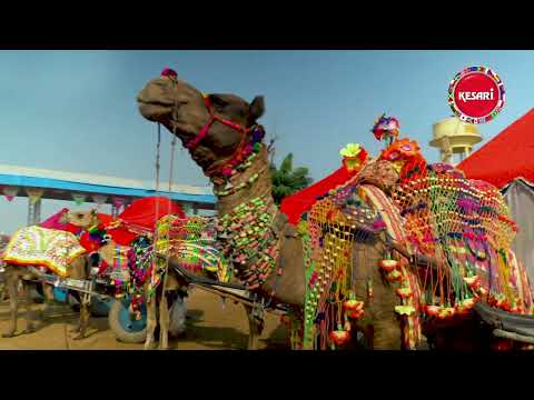Rajasthan〡Kesari Tours〡2022〡Explore the land of Rajput.