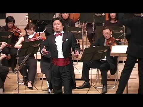 LA SONNAMBULA :Bellini 'Vi ravviso ,o luoghi ameni' Rodolfo's Aria