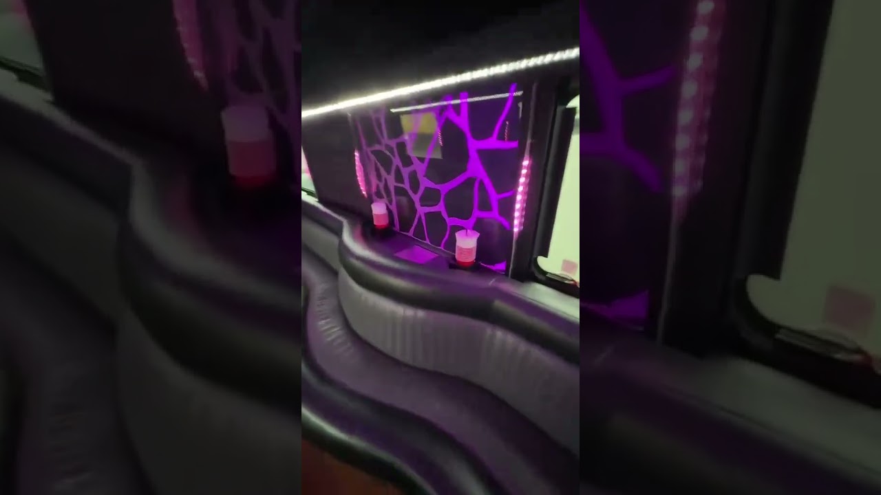 40 Passenger Party Bus