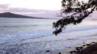 preview picture of video 'Narrow Neck beach #auckland #midwinter'