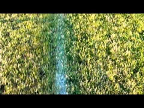 LZS Osiek - zapowiedź sezonu 2013/2014