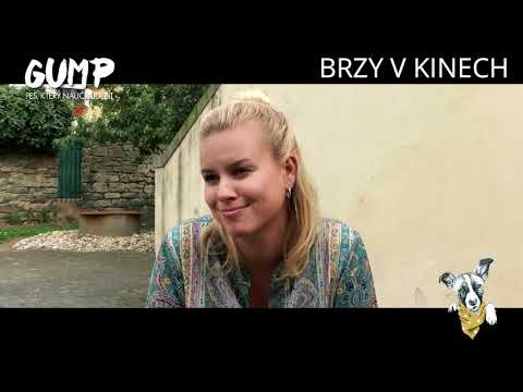 Gump - Pes, který naučil lidi žít - Co je poselstvím filmu?