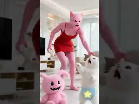 Kitten Shaves Her Head Bald... Now Look What Happened#catstory#meow#cats