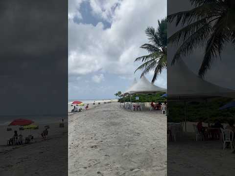 PRAIA COM ÁGUAS QUENTES #beach #brasil #praiasdonordeste #travel #lucena #paraiba #paraíba #nordeste