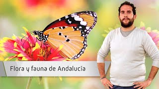 FLORA Y FAUNA COMUNIDAD AUTÓNOMA DE ANDALUCÍA IV FLORA Y FAUNA COMUNIDAD AUTÓNOMA DE ANDALUCÍA IV