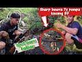 Squirrel Hunting In A New Spot With Lots Of Squirrels West Kalimantan
