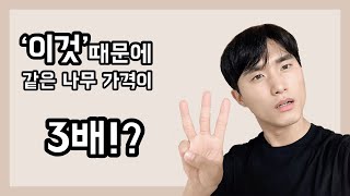 조경수 나무 가격(소나무 가격). ‘이것’에 따라서 가격이 3배나 차이난다고? (모찌, 아라끼)