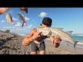 NONSTOP Action Using This "ONE" Bait Surf Fishing (testing out live sand fleas or frozen shrimp)
