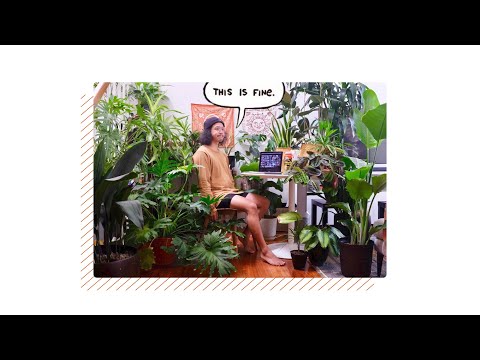 Reddit Recap 2021 - SNGL Feat. Molly Moore