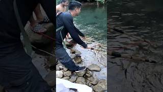 Download lagu Electric  fishing 🐠 😯 #shorts #fishing #2023 #fish #bigFish #viral #fishingTricks #electricfishing mp3