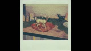 Speedy Ortiz - 