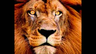 Southern Dreams - Elvin Bishop