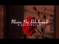 Mainu Nai Pehchaandi Slowed Reverb Jerry