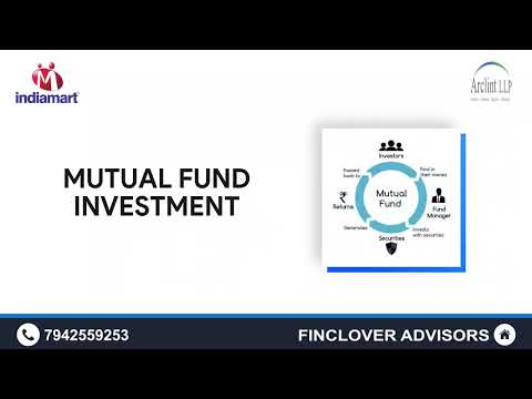 Stock Audit Services