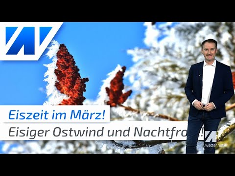 Eiszeit! Der Märzwinter hat uns fest im Griff!