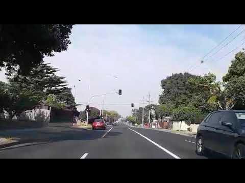 Hayko Cepkin Ben insan değilmiyim #haykocepkin #australia