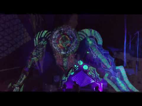 Jungle Groove SIETE - After X Stentorian