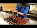 The Most Satisfying Videos On The Internet