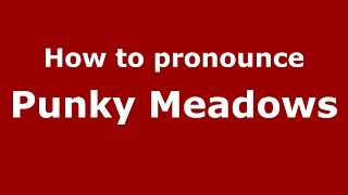 How to pronounce Punky Meadows