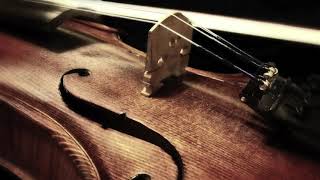 Civil War Diary – Bigfoot’s Wilderness