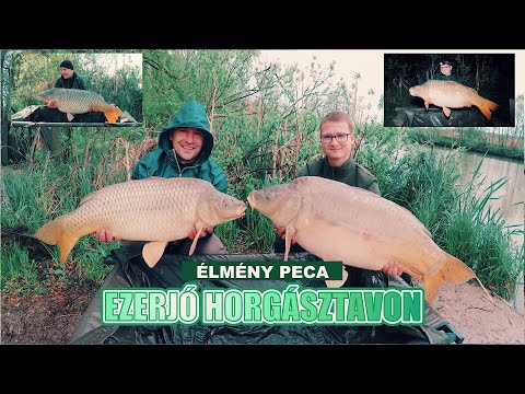 Élmény peca az EZERJÓ HORGÁSZTAVON