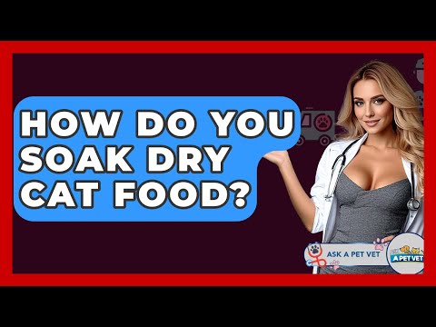 How Do You Soak Dry Cat Food? - Ask A Pet Vet