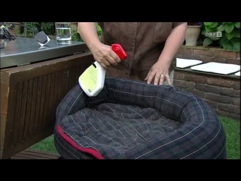 Marianne Jäger - Flöhe