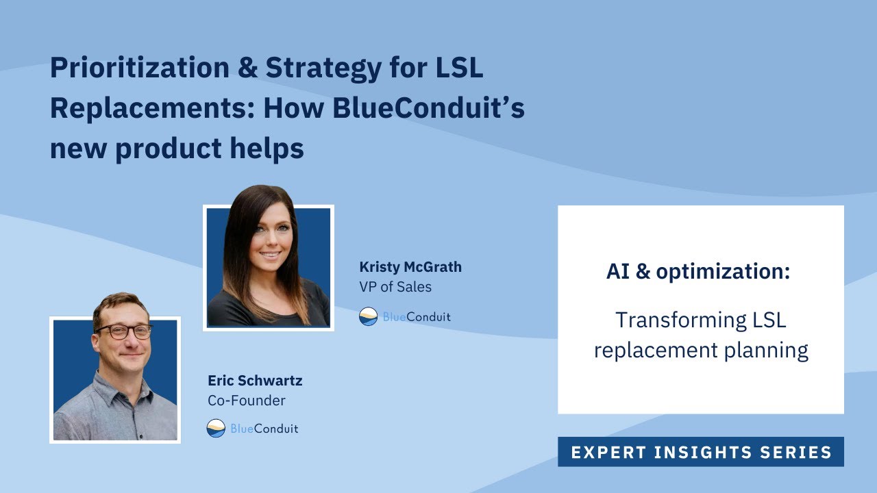AI & optimization: Transforming LSL replacement planning