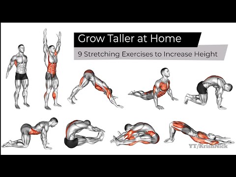 Grow Taller at Home | 9 Stretching Exercises to Increase Height