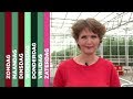 TV West Weekoverzicht 20 mei 2017