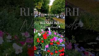 Family road trip from Madrid via France, all the way to Rijnsburg Netherlands 🇳🇱 #travel #ytshorts