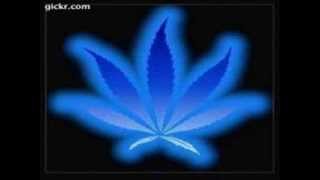 The New Monkey - MC Ace, MC Tazo - Happymen - Love is you (always on my mind)