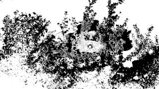 Johan Johanson feat. Airden - Fallin (Ken Hayakawa Remix) - Schönbrunner Perlen 008