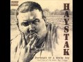 Dadgummit By: Haystak