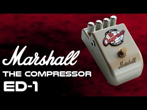 Marshall "The Compressor" ED-1 2000 - Silver image 8