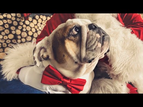 Fairytale of New York (The Pogues) Irish Scottish Wiehnacht