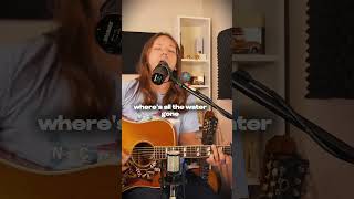 Catch Another Butterfly - John Denver (Parker Lanier)