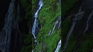 Download lagu Air Terjun Curug Wangun Subang Tanjungsiang Buniara mp3 Download lagu Air Terjun Curug Wangun Subang Tanjungsiang Buniara mp3