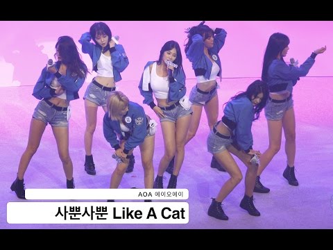 AOA 에이오에이[4K 직캠]사뿐사뿐 Like A Cat@20161012 Rock Music