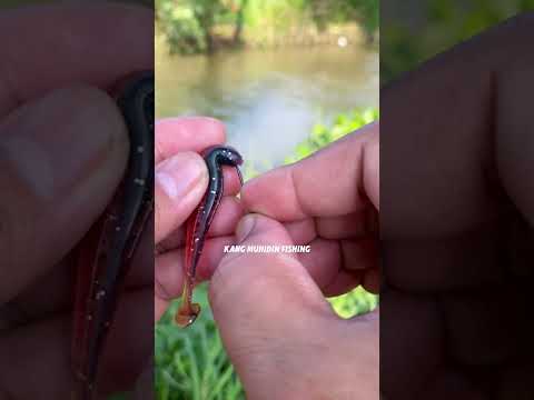 What PRO Fishermen Don't Want You to Know About Fishing Knots