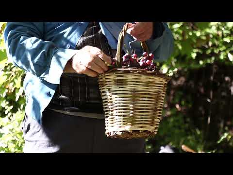 Fshati Zhej, Zagorie