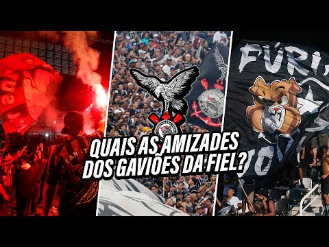 TORCIDAS AMIGAS DOS GAVIÕES DA FIEL DO CORINTHIANS